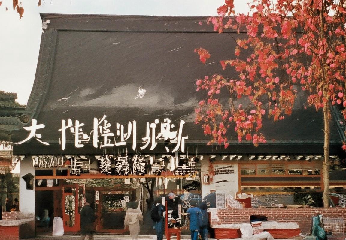 掘金赛季核心球员表现盘点及未来展望(图3)